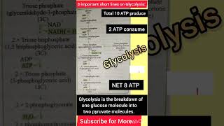 Glycolysis in 15 Seconds! 🔥 | Class 11 Bio + NEET Respiration in Plants DKG #biology #glycolysis #pw