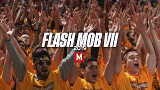 Maryland Students Flash Mob VII (2019)