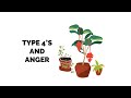 Enneagram Type 4 and Anger