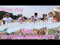 Море по колено/еда, которая шевелится/мультикультурные семьи/тёща из России/Korea Vlog