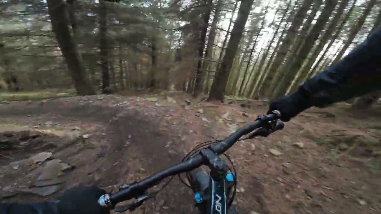 Glentress Blacks: Ewok Wall to Ponduro