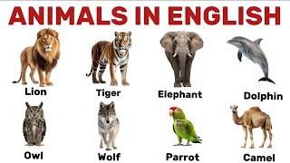 Learn Animal Names in English 🐘 English Vocabulary & Pronunciation Practice