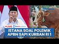 🔴 LIVE: Respons Istana & MUI soal Polemik Sapi Kurban Presiden Prabowo Senilai Rp100 M Pakai APBN
