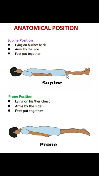 Supine position