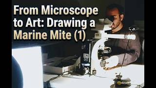 From Microscope to Art: Drawing a Marine Mite (1)