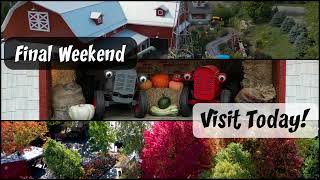 Bengtson Pumpkin Farm - Final Weekend of 2023 - Don't miss this years #fallfestival