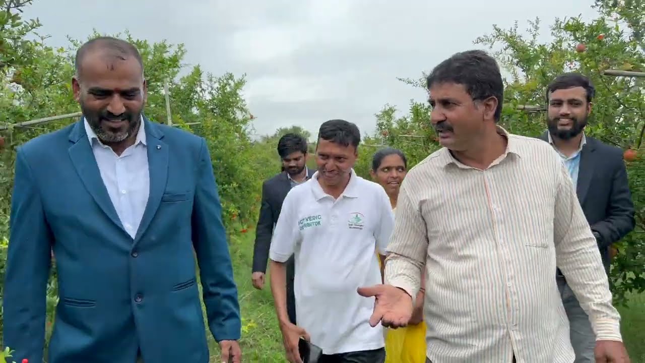 SCTवैदीक चा लागवडी पासून वापर तरिही एक दोन झाडांवर तेल्या का⁉️ फेल शेतकर्यांसाठी अनमोल मार्गदर्शन‼️