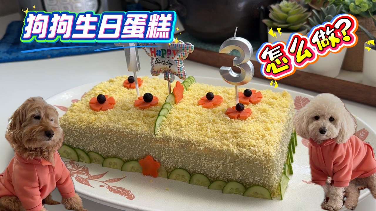 很简单狗狗蛋糕做法 安全 无油 无麦麸 大人也爱吃【Garden Time 田园生活分享】2026 3