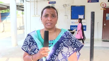 Genome Editing And Engineering