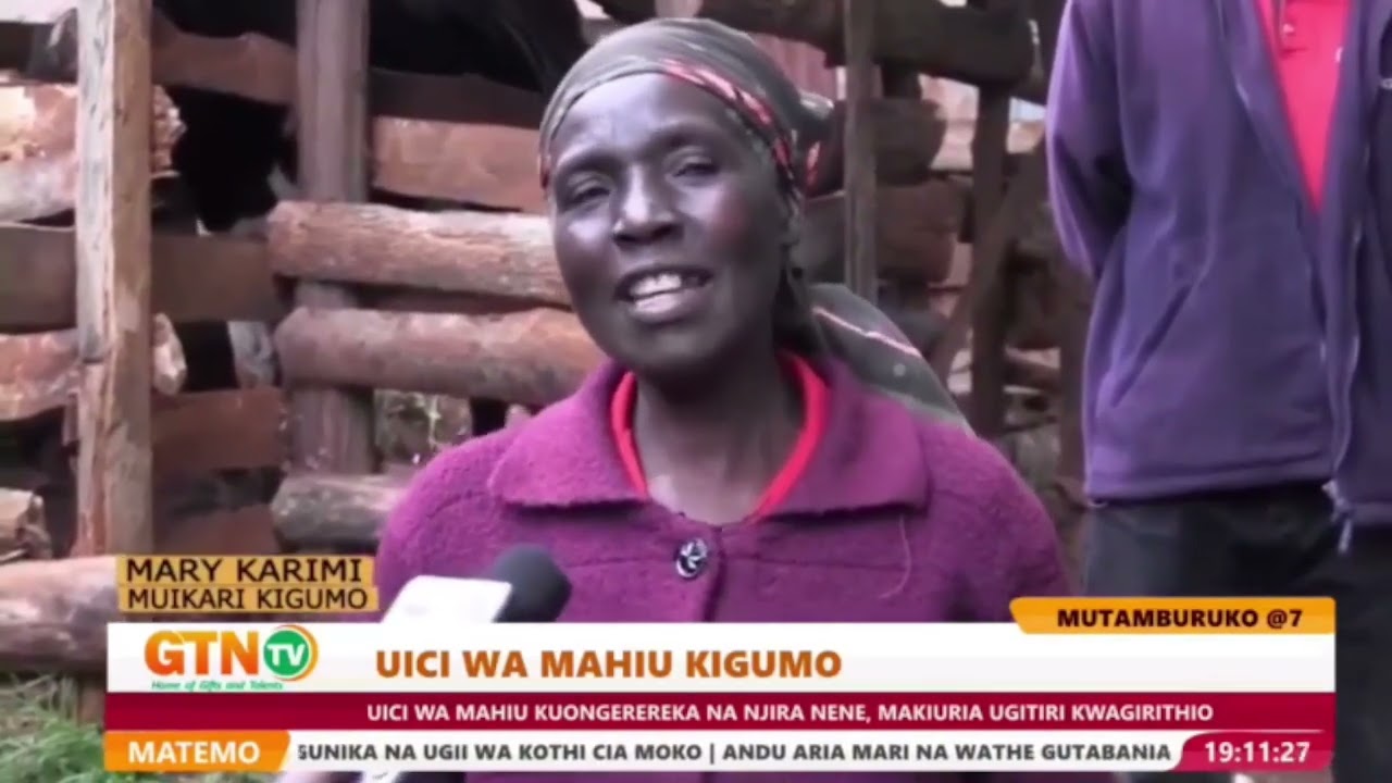 Murang'a Kigumo residents raise a red flag over rampant cattle theft
