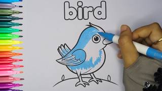 How to color a bird Coloring For Kids