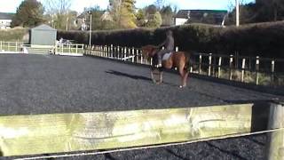 Novice 30 17 Feb 2015