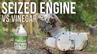 Seized Honda CB160 Engine vs Vinegar   #hondacb160 #vintagemotorcycles #rustremoval