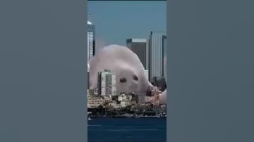Thumbnail of Totally not a Rickroll