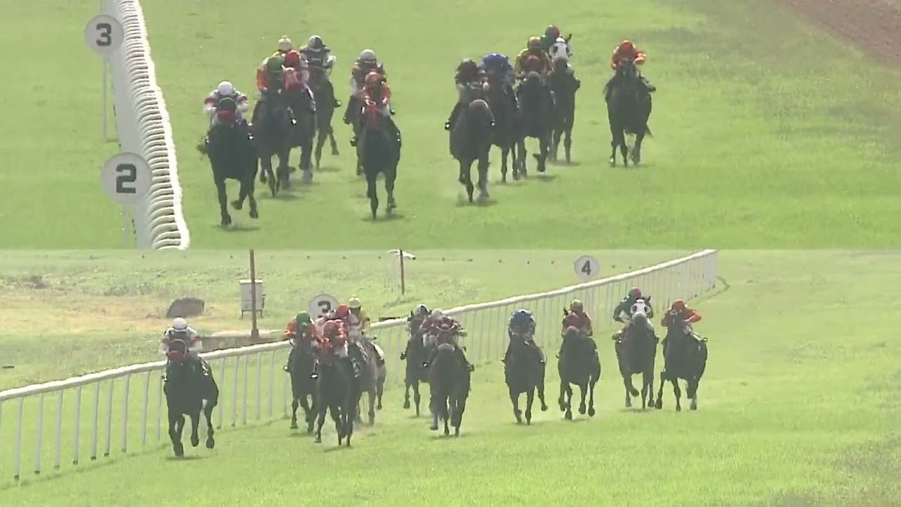 SERGEANT RECKLESS with L Alex Rozario up wins The Lokapavani Plate 2024 RACE 71