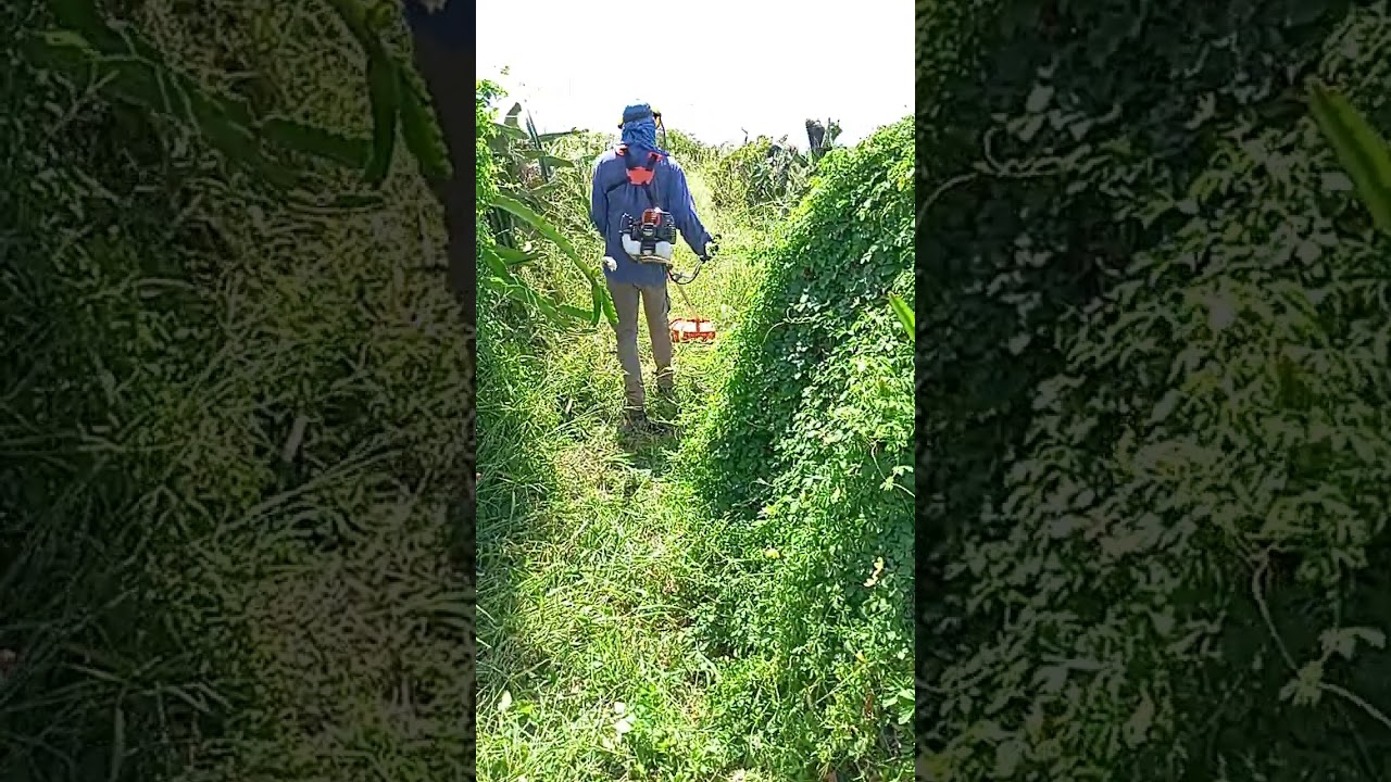 13 de janeiro de 2026