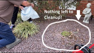 How to cut back Liriope so you have NO CLEANUP to do afterwards!