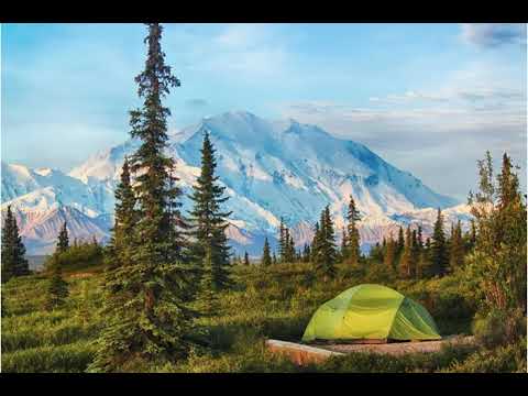Video: Denali National Park Weather and Temperature Average