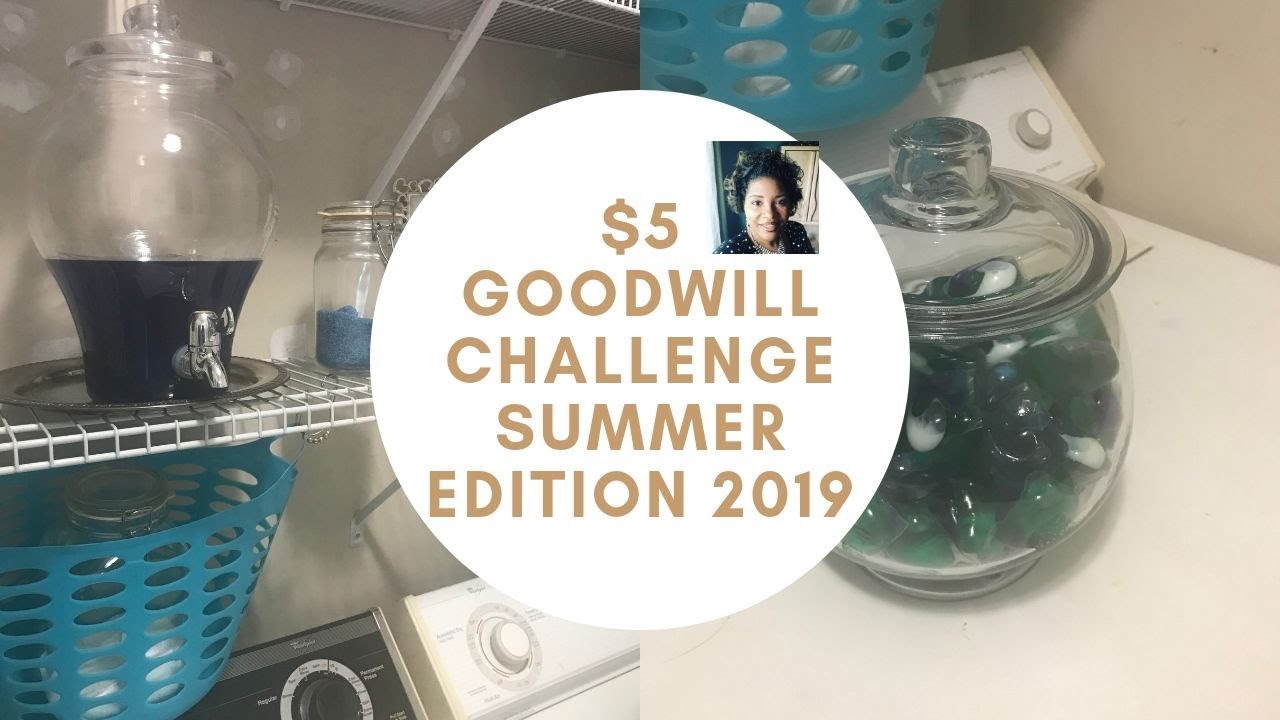 $5 Goodwill Challenge  ||  SUMMER EDITION 2019  ||  Hosted by Hillary  ||  Fun Find