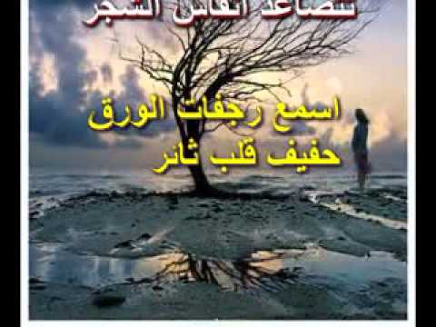 عبرات الياسمين الشاعرة ياسمينة الشام سوزان المصري