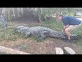 Gatorland's School of Croc Day 22! Lyle the Nile Crocodile!