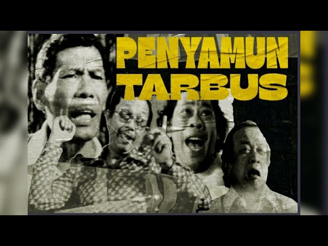 Penyamun Tarbus class=