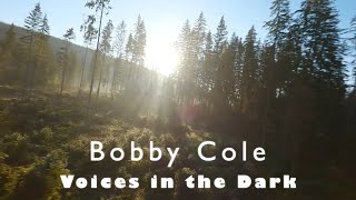 Bobby Cole - Voices In The Dark - Epic Relaxation Music - Mind Drifter