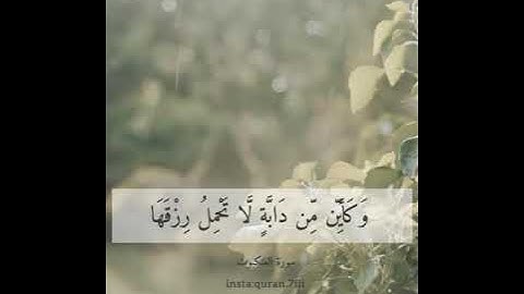 ارح سمعك🎧 تلاوه خاشعه بصوت القارئ عبدالرحمن مسعد سورة العنكبوت #عبدالرحمن_مسعد