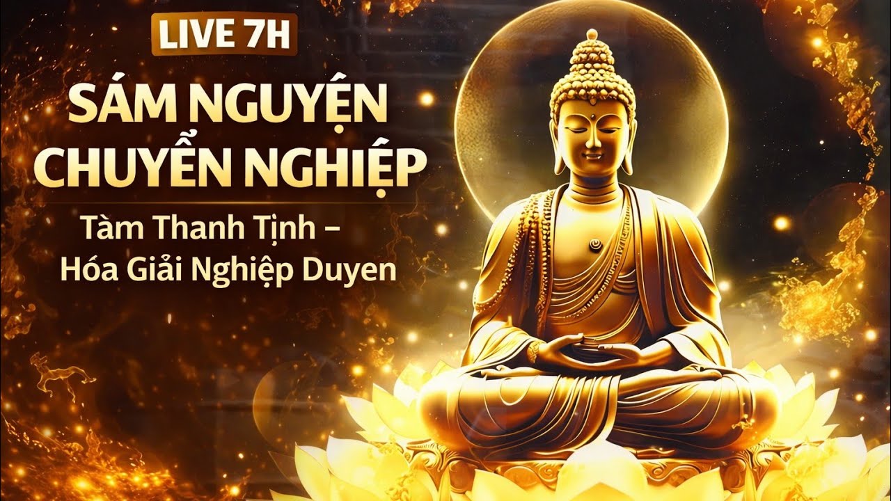 LIVE 7H SÁM NGUYỆN CHUYỂN NGHIỆP ĐÊM | Nghe Để Tâm An – Ngủ Bình Yên
