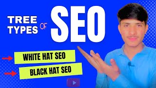 What is white hat seo and black hat seo | Three types of SEO #seo #types What is white hat seo and black hat seo | Three types of SEO #seo #types