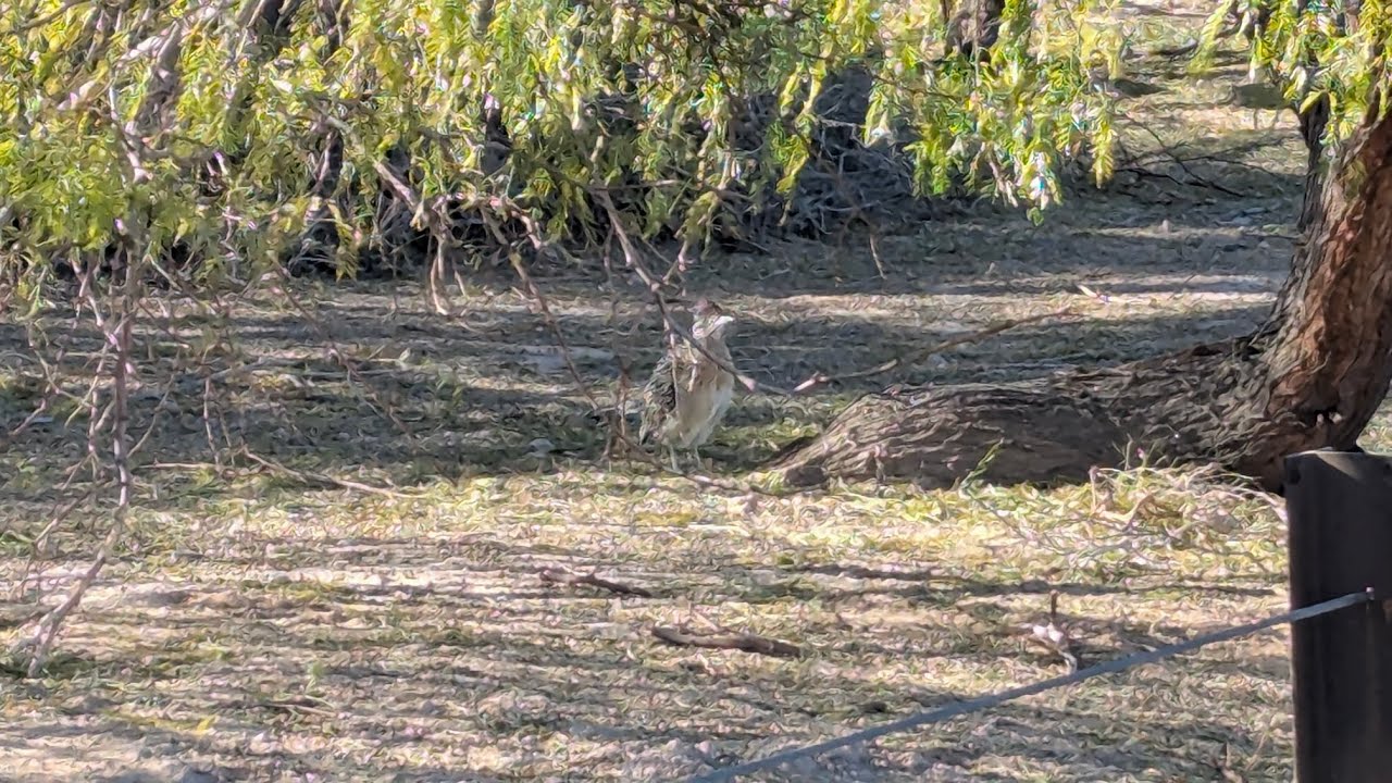 Long Trip, Ready To Keep Going! (Deuteronomy 1:1)