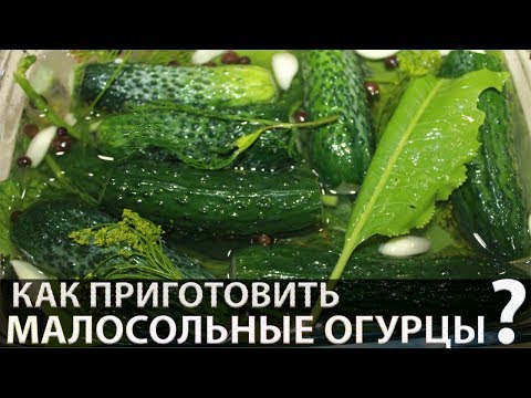 Video: Yuav Ua Li Cas Ntsev Cucumbers Nyob Rau Hauv Lub Hnab Maj Mam Salted