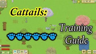 Cattails Game ~ Guide to Mentorship
