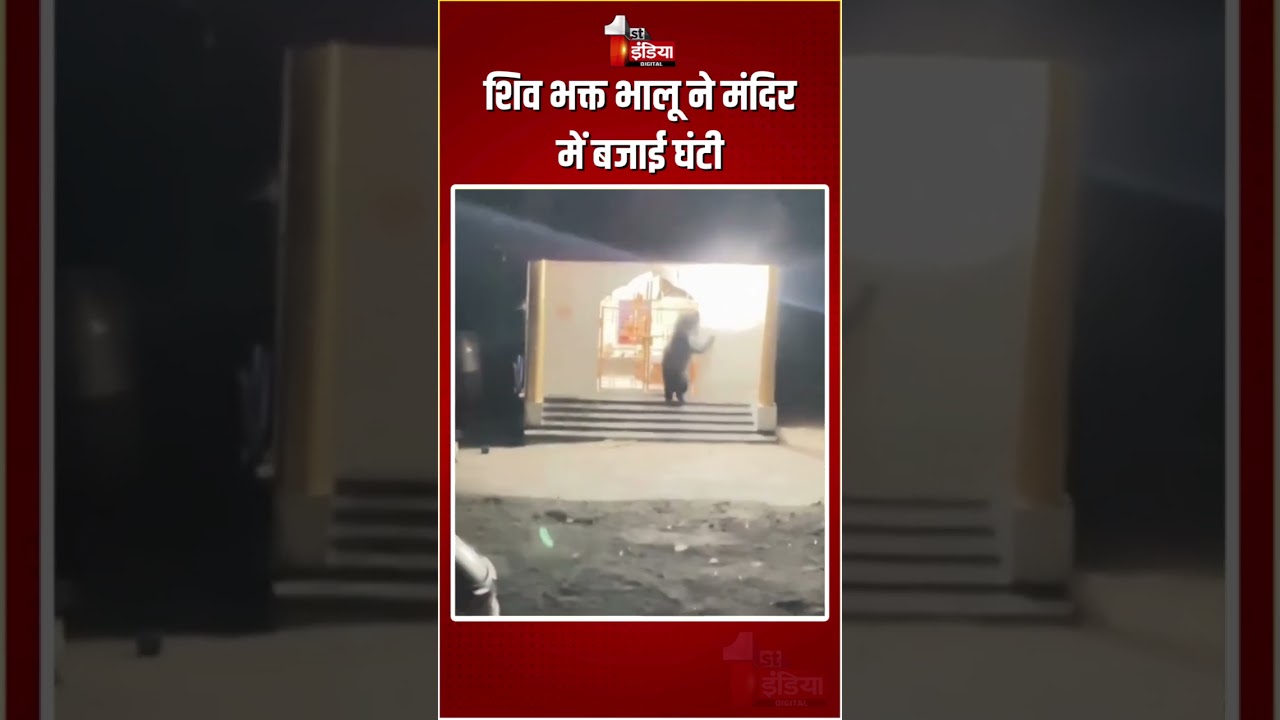 Bear Viral Video: शिव भक्त भालू ने मंदिर में बजाई घंटी | Kanker Shiv Temple | Chhattisgarh Video