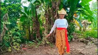 Tugas seni Tari tradisional ' Tari Muli Begukhau'tarian Lampung