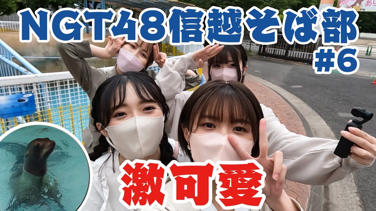 #城山動物園 でアシカに餌をあげる&ゴーカートで #西村菜那子 のドライビングテクニックを見よ❕ #ngt48 #信越そば部　そばも食べずにZooで楽しむポンコツな君が好きだ★