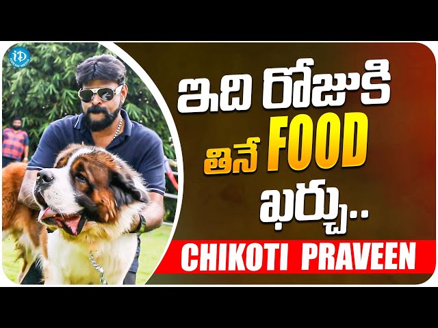 Chikoti Praveen About His Pet Dogs | Chikoti Praveen Interview | iDream Media class=