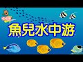 魚兒水中游 經典兒歌 童謠 幼稚園 兒童歌曲 魚兒水中游 經典兒歌 童謠 幼稚園 兒童歌曲