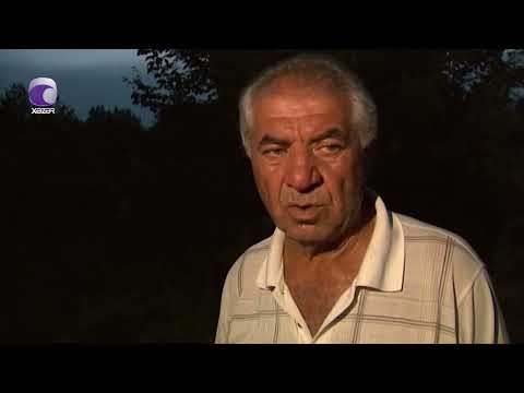 Ucar və Saatlı rayonlarında qətl törədilib - TƏFƏRRÜAT