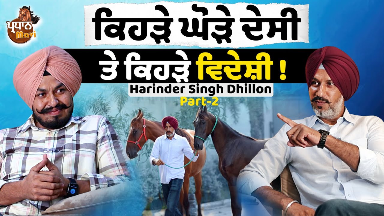 ਜੇ ਮੱਝੂਕੇ ਲਾਈਨ ਦੇ ਘੋੜੇ ਦੇਸੀ ਨੇ, ਤਾਂ ਮਾਰਵਾੜੀ ਕਿਹੜੇ ਹੋਏ ? | Harinder Dhillon | Pardhan Mavi