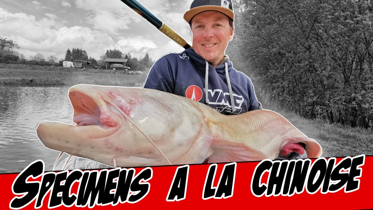 Chine: un concours de pêche dans l'est_French.news.cn