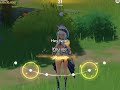 Genshin impact