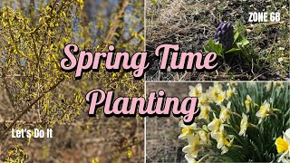 Spring Planting | Zone 6 | Growing in the Garden State