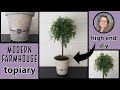 High End Modern Farmhouse Decor~DIY Topiary~Dollar Store Topiary Decor~the Schwowin's nest