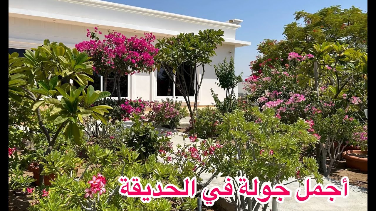 A tour of the garden and new ideas \ جولة في الحديقة وأفكار جديدة