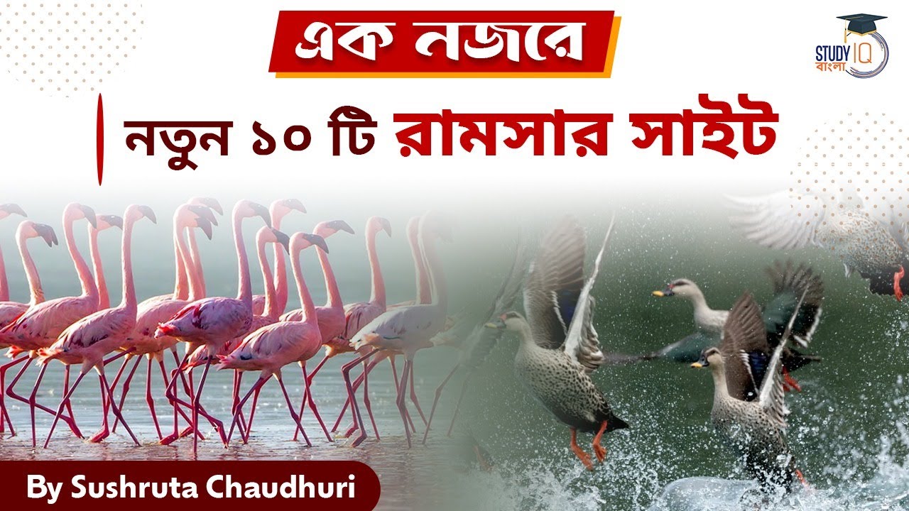 10 new Ramsar Sites in bengali| Ek Nojore| by Sushruta Chaudhuri| Study IQ Bangla 縮圖