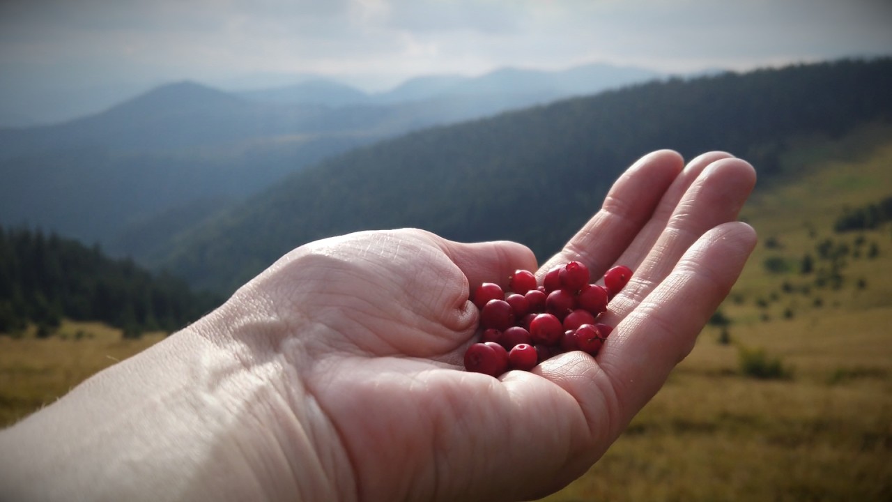 ІГРЕЦЬ: запашний останній день літа 2025 з присмаком барвистої осені.