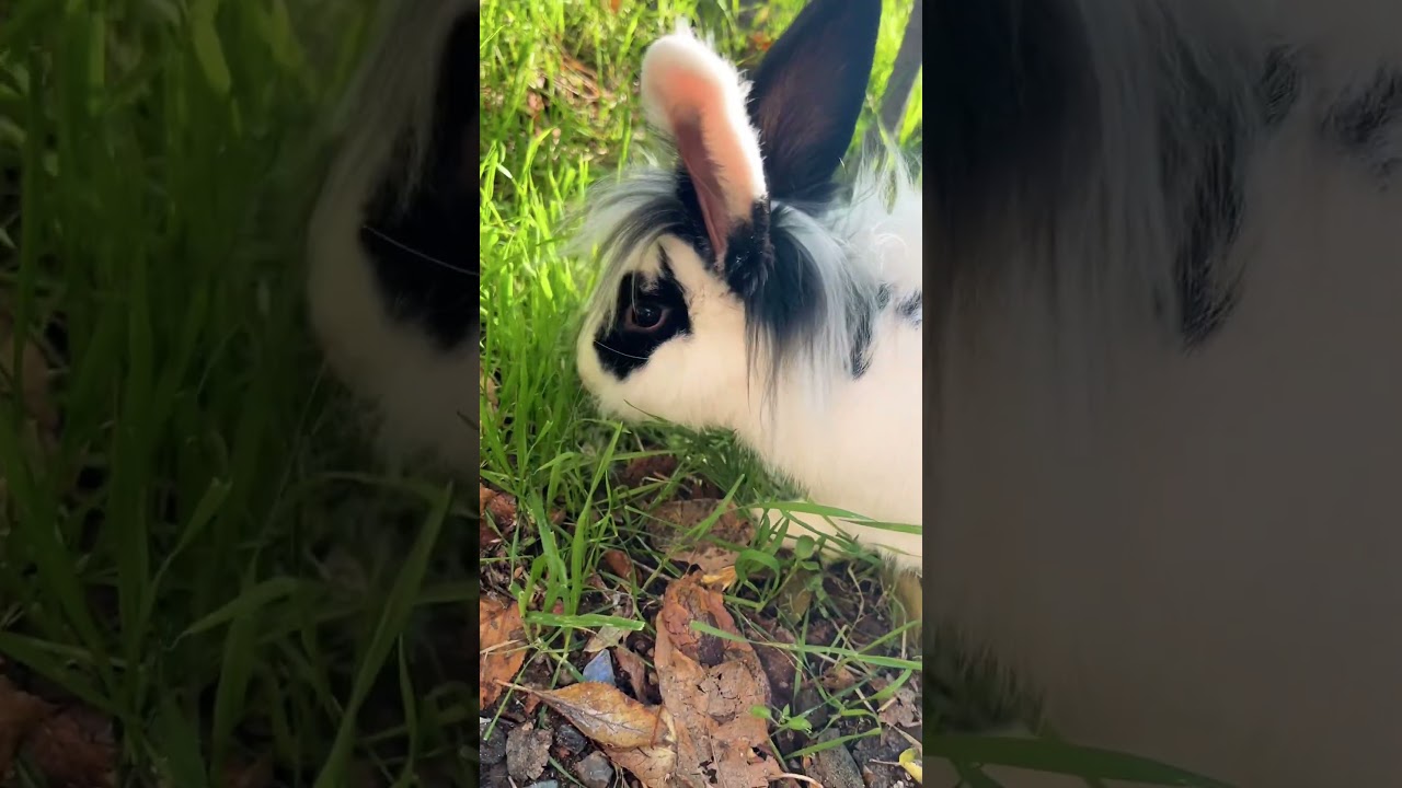 Самый стильный на районе 