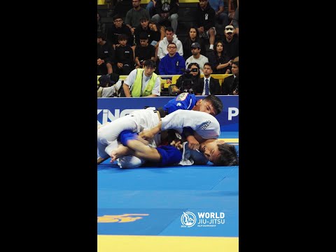 @yearofpato advances to the light-feather finals!