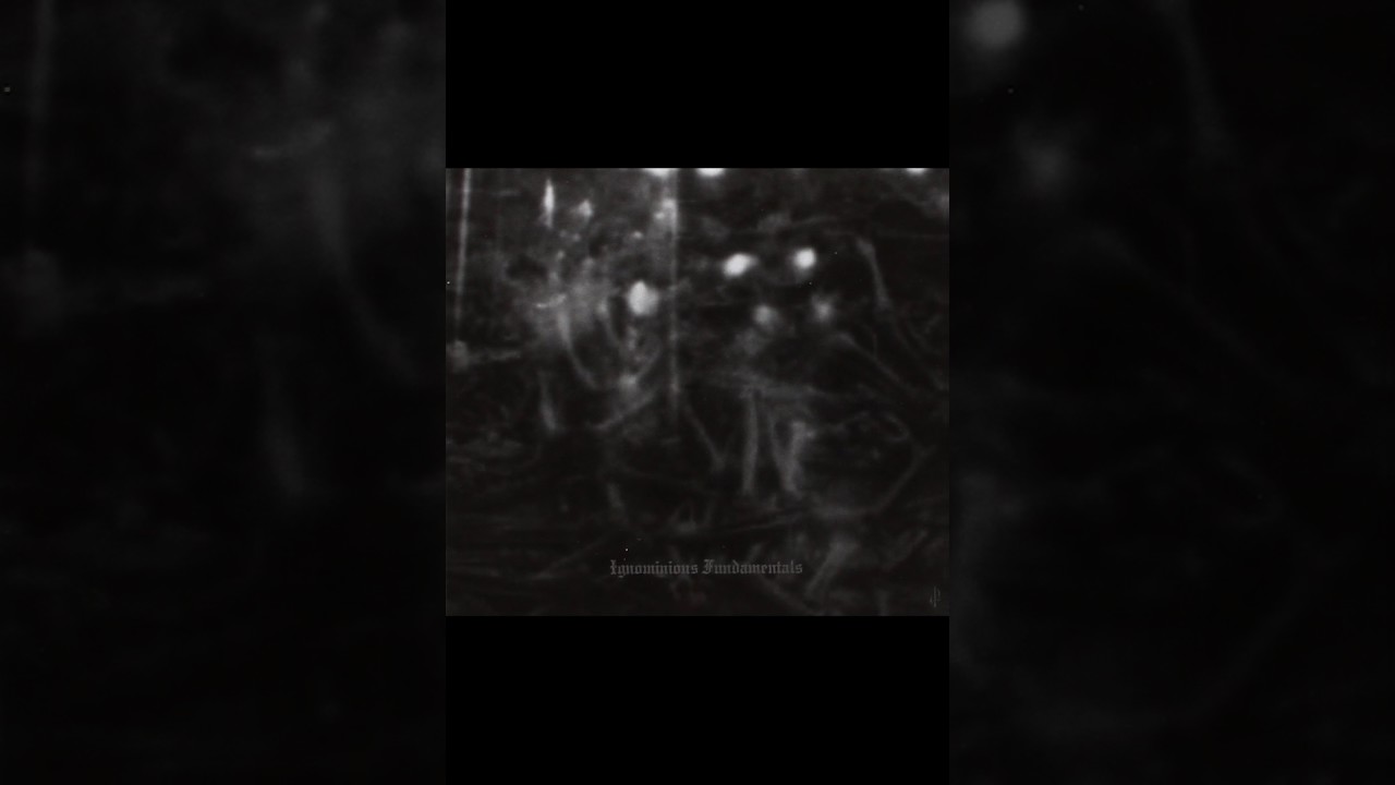 Dark Opus - Ignominious Fundamentals (Full Album)